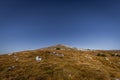 View to the top of Schneeberg from the path from Stadelwand over grassy plateau