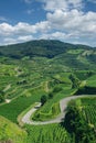 View to Totenkopf Mountain,Kaiserstuhl wine region,Black Forest,Germany Royalty Free Stock Photo