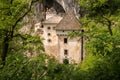 Predjama Castle seen from the forest