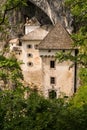 Predjama Castle seen from the forest