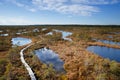 View to walking trail in swamp