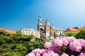 View to Wawel Cathedral in Krakow, Poland.