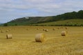 Westbury White Horse.Wiltshire,England Royalty Free Stock Photo