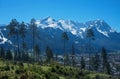 View to wetterstein mountain mass through conifers