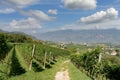 View to Wine Village of Appiano or Eppan,Trentino,South Tirol,Italy Royalty Free Stock Photo