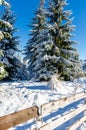 View to a winter landscape with wooden fence, near to Marisel village from Cluj county, Romania Royalty Free Stock Photo