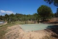 View to resort house yard in Sitonia, Greece Royalty Free Stock Photo