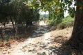 View to resort house yard in Sitonia, Greece Royalty Free Stock Photo