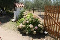 View to resort house yard in Sitonia, Greece Royalty Free Stock Photo