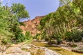 View at the Todra river in Todgha Gorge ,Morocco Royalty Free Stock Photo