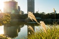 View of tokyo cityscape with park