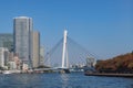 View from Tokyo Mizube Cruising Line Royalty Free Stock Photo