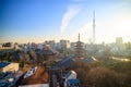 View of Tokyo skyline at twilight Royalty Free Stock Photo