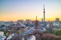 View of Tokyo skyline at twilight