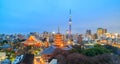 View of Tokyo skyline at twilight Royalty Free Stock Photo