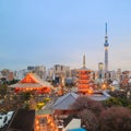 View of Tokyo skyline at twilight Royalty Free Stock Photo