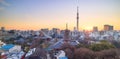 View of Tokyo skyline at twilight