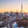 View of Tokyo skyline at twilight Royalty Free Stock Photo