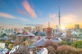 View of Tokyo skyline at twilight Royalty Free Stock Photo