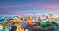 View of Tokyo skyline at twilight Royalty Free Stock Photo