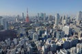 View of the Tokyo Tower with many buildings