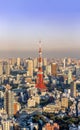 View of Tokyo tower from Roppongi Hill Tokyo,Japan