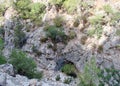 Goynuk Canyon. Antalya. Turkey. Landscapes of untouched nature in the gorge of the canyon along the banks of a mountain river.