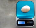 The Egg Weighed On A Mini Digital Scale, Hatching Eggs.