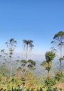 view from the top of gelap mountain Royalty Free Stock Photo