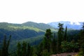 View from the top of the hill to the valley stretching between the high mountains covered with coniferous forest Royalty Free Stock Photo