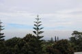 the view from the top of the Indonesian mountain