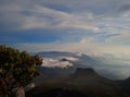 View at the top of mount Gede Pangrango Royalty Free Stock Photo