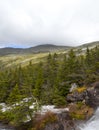 View of Top of Mount Washinton area via Ammonoosuc ravine trail Royalty Free Stock Photo