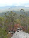 A view from the top of a mountain with a large bolder and small dry trees in red and green