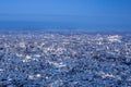 View from top of Mt. Moiwa in Sapporo city