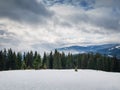 View from the top peak of the Bukovel ski resort, Ukrainian Carpathians. Beautiful winter panorama of snowy mountains ridge, and