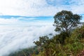 The view on the top of Phu Thap Boek Mountain overlooking the beautiful morning mist