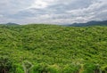 View from the top on the rain forest Royalty Free Stock Photo