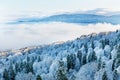 View from the top of the snow-covered forest with low-floating clouds. Beautiful winter landscape Royalty Free Stock Photo