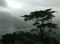 The view from the top of Sudhagad Fort Royalty Free Stock Photo