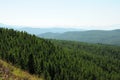 View from the top to the ridges of high hills overgrown with dense coniferous forest in the bright rays of the setting sun on a Royalty Free Stock Photo