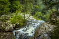 The view from the top of the Twin Falls in Springbrook National Park, Queensland, Australia Royalty Free Stock Photo