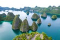 View from the top of the Wayag Islands. Blue Lagoon with Green Rocks.