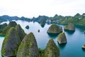 View from the top of the Wayag Islands, Raja Ampat, West Papua, Indonesia.