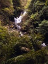 Torc Waterfall in Killarney National Park, Ireland Royalty Free Stock Photo