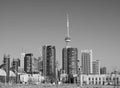 View of Toronto in black and white Royalty Free Stock Photo