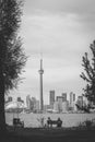 Toronto city during sunset from Toronto Central Island