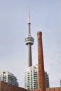 View of Toronto downtown