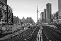 A view of Toronto downtown and CN tower in black and white over Royalty Free Stock Photo