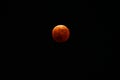 A view of the total lunar eclipse of the moon on November 8,2022,In Japan. Royalty Free Stock Photo